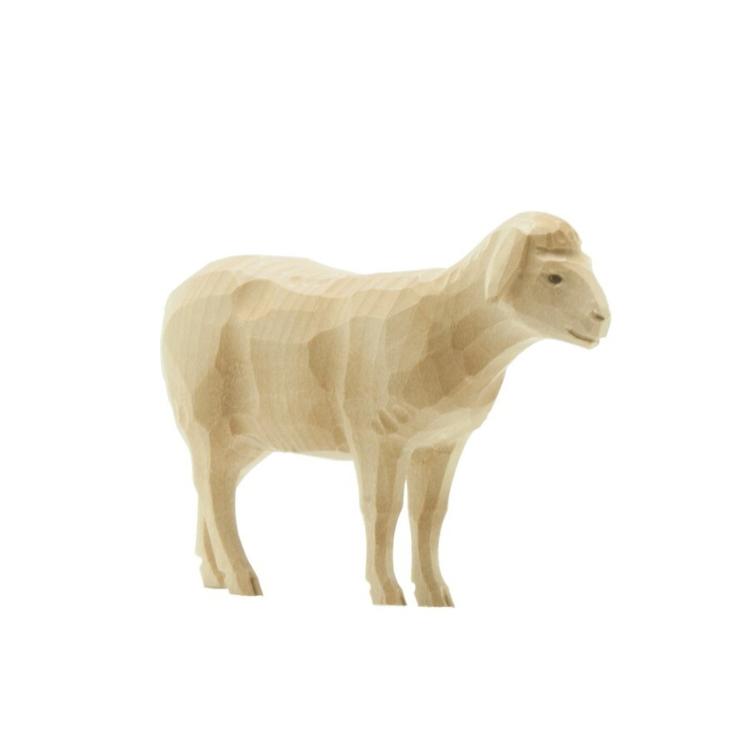 Sheep standing