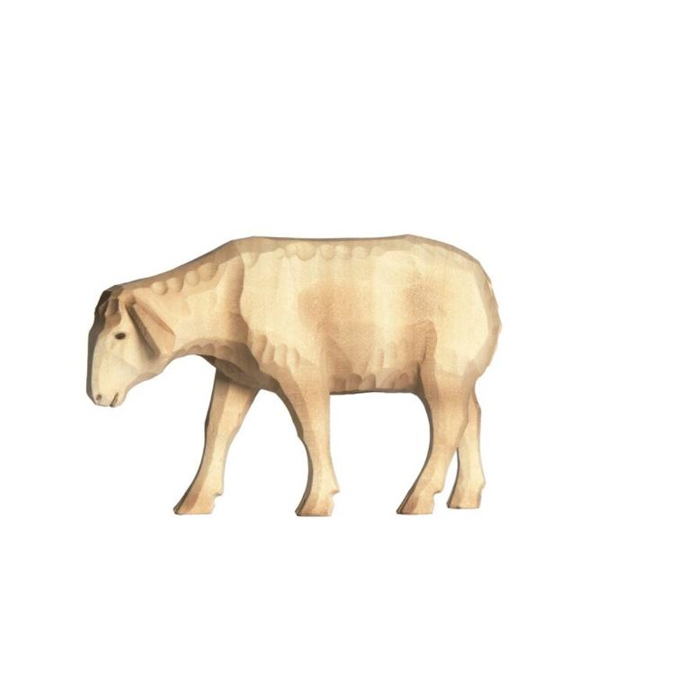 Sheep walking head low