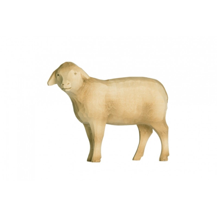 Tête de mouton sur le côté, lumière