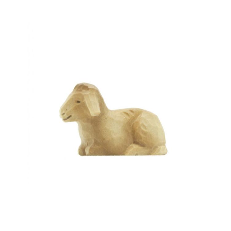 Lamb lying down