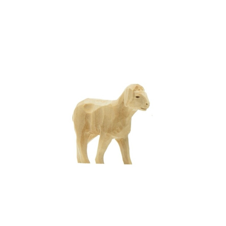 Lamm Kopf hoch