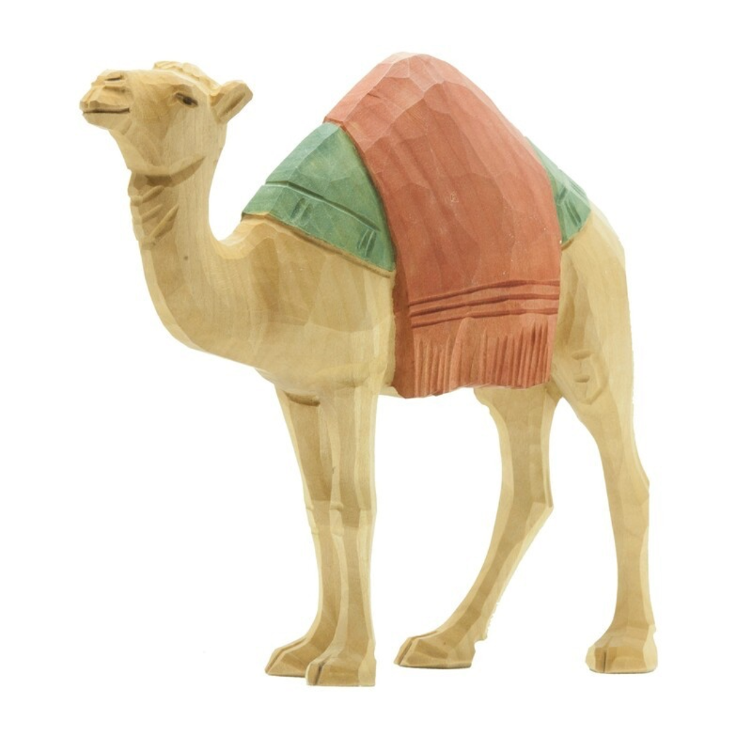 Dromadaire avec couverture