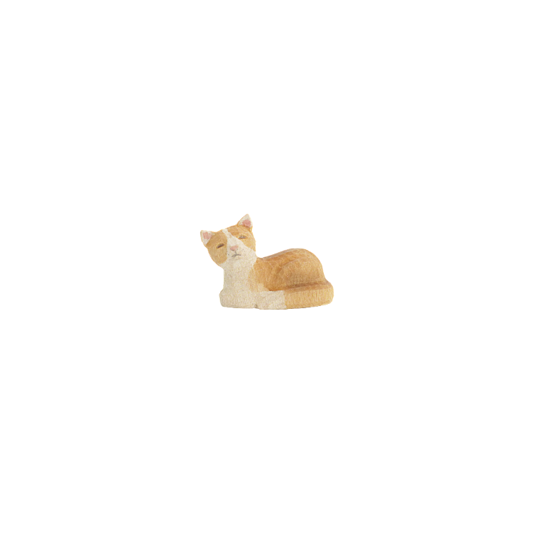 Cat lying down