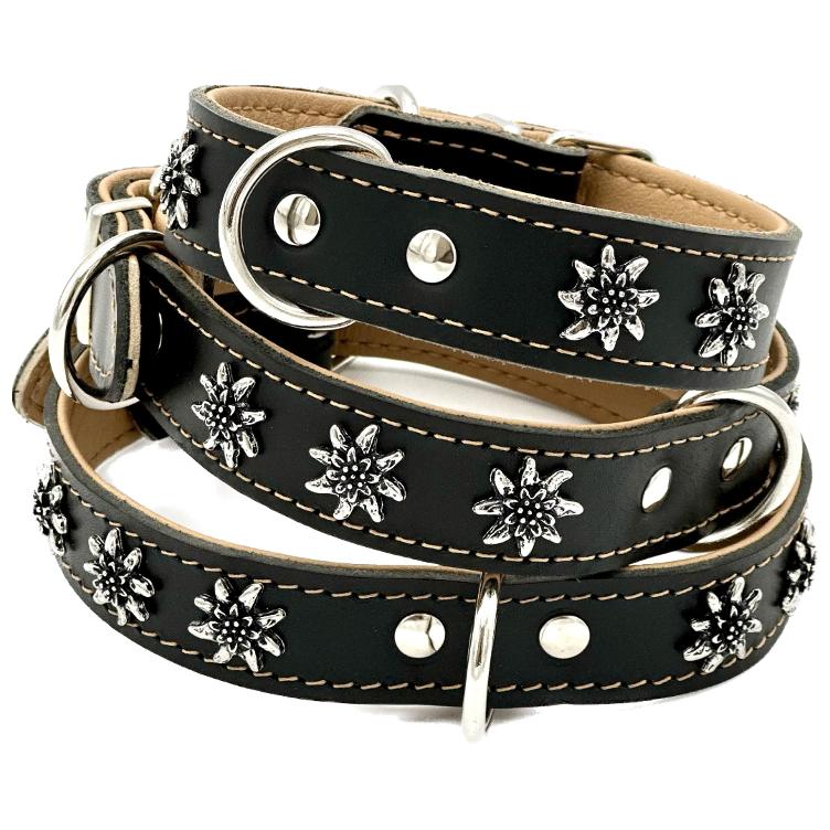 Collare per cani con decorazione stella alpina