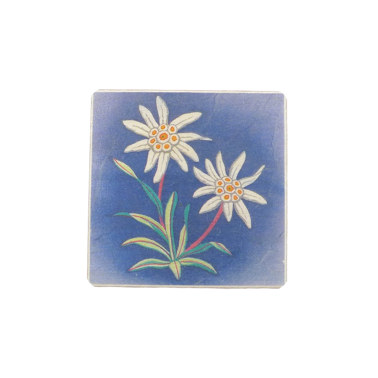 Aimant Edelweiss