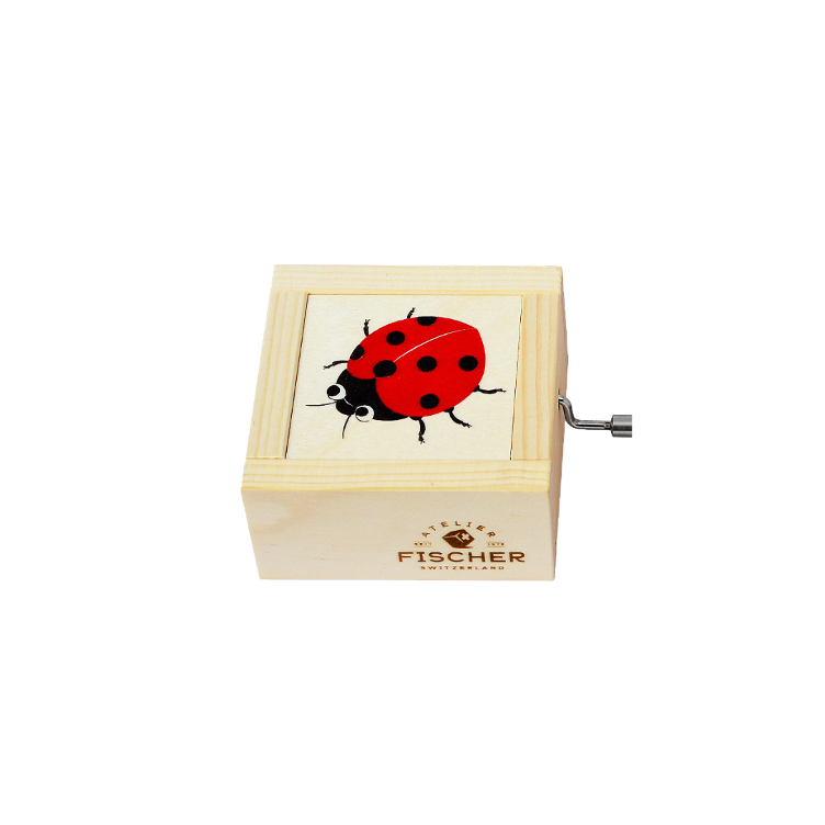 petit scarabée boîte à musique