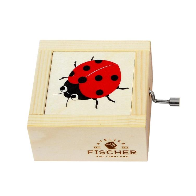 small music box beetle