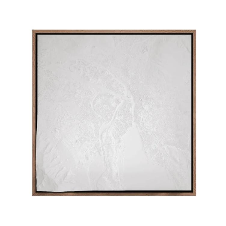Atelier Momol Relief Ville de Zurich M