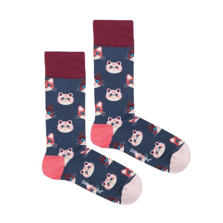 DillySocks Socken Sky Kitten