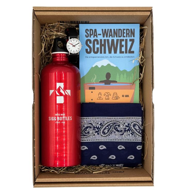 For a swiss Pension