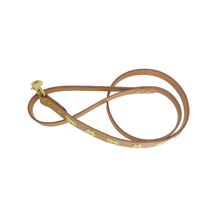 Laisse pour chien cognac large