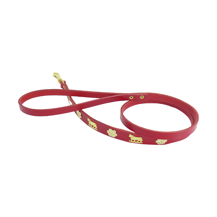 Laisse pour chien rouge étroite