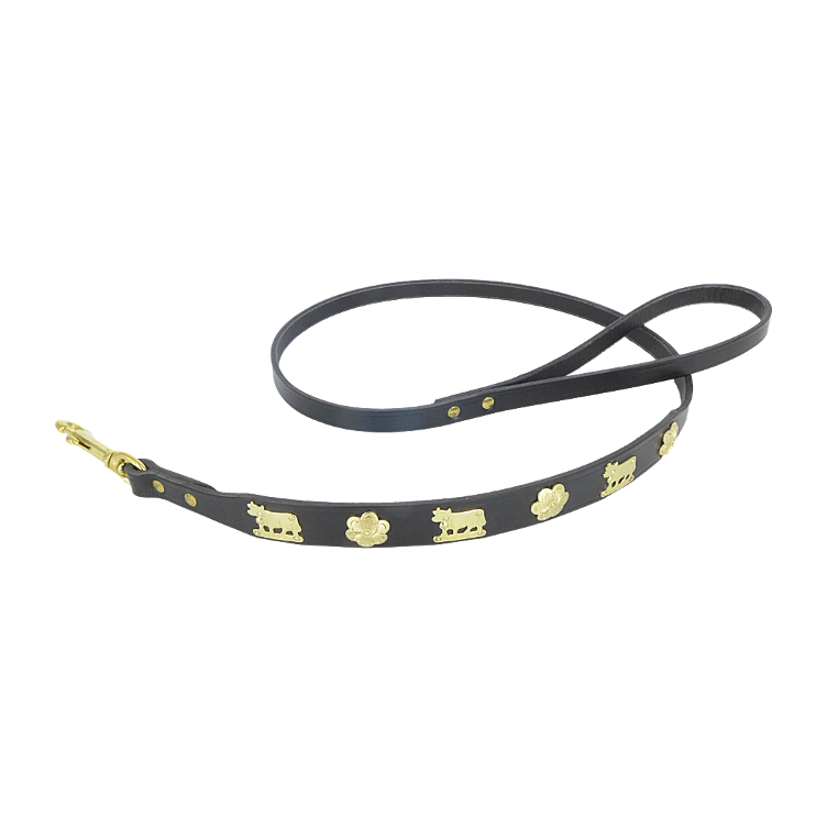 Laisse pour chien lumière noire