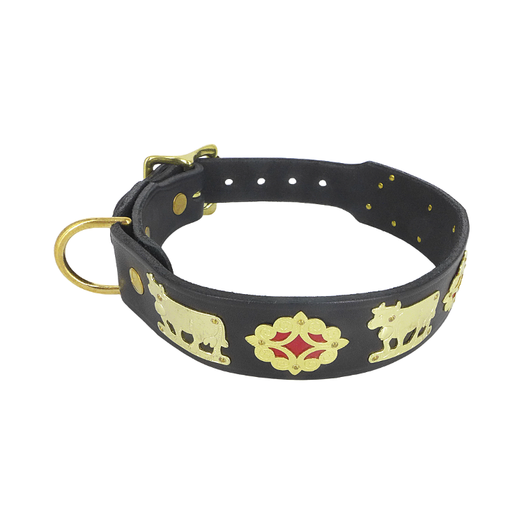 Collare per cani Appenzeller, nero, largo