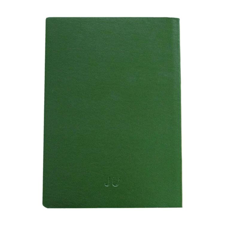 Notizbuch Kaktus grün - 1
