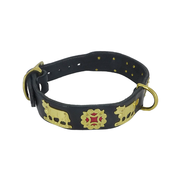 Collare per cani Appenzeller nero, stretto