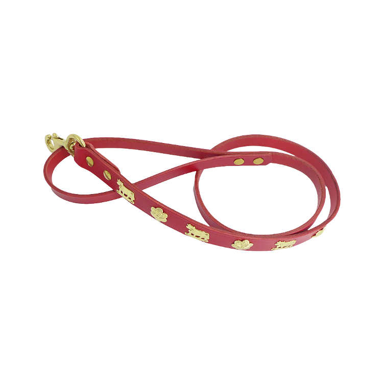 Laisse pour chien rouge solide