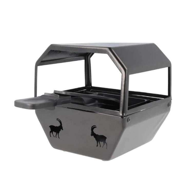 Lumière des Alpes Raclette gondola